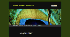 Desktop Screenshot of muazzezbabacan.com