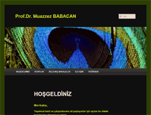 Tablet Screenshot of muazzezbabacan.com